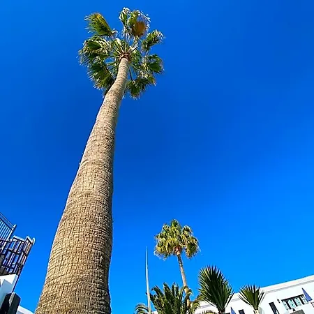 Aparthotel Plaza Azul Puerto del Carmen (Lanzarote)